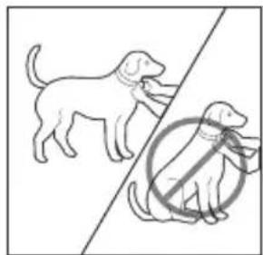 PETSAFE Bark Control PBC1910765 - Ajustement du collier anti-aboiements - 1