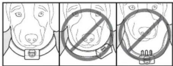 PETSAFE Bark Control PBC1910765 - Kenmerken - 1