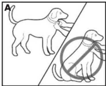 PETSAFE Deluxe Bark Control PBC1912443 - De deluxe antiblafhalsband aanpassen - 1