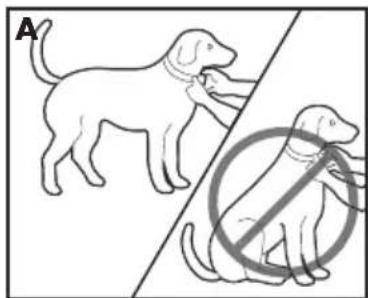 PETSAFE Deluxe Bark Control PBC1912443 - Ajustar el collar antiladridos deluxe - 2