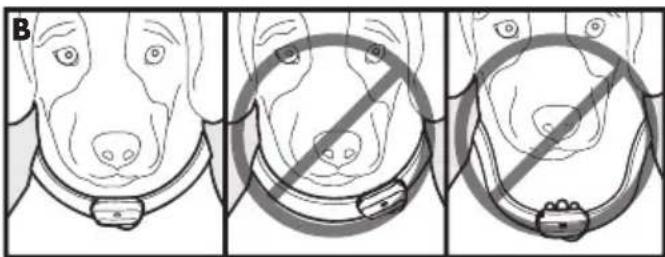 PETSAFE Deluxe Bark Control PBC1912443 - Anlegen des Antibellhalsband Deluxes - 1