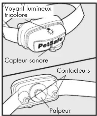 PETSAFE Deluxe Bark Control PBC1912443 - Définitions - 1
