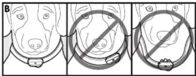 PETSAFE Deluxe Bark Control PBC1912443 - Fit the Deluxe Anti-Bark Collar - 1