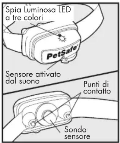 PETSAFE Deluxe Bark Control PBC1912443 - Definizioni chiave - 1