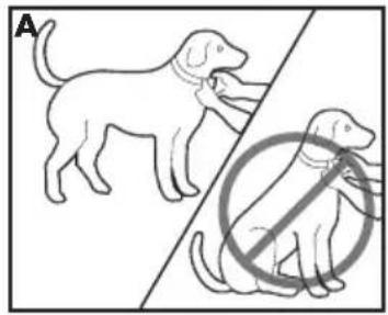 PETSAFE Deluxe Bark Control PBC1912443 - Regolazione del collare antiabbaio deluxe - 2