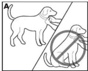 PETSAFE Deluxe Bark Control PBC1912443 - Anlegen des Antibellhalsband Deluxes - 2