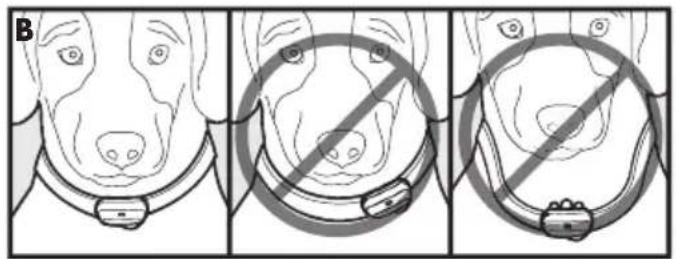 PETSAFE Deluxe Bark Control PBC1912443 - Regolazione del collare antiabbaio deluxe - 1