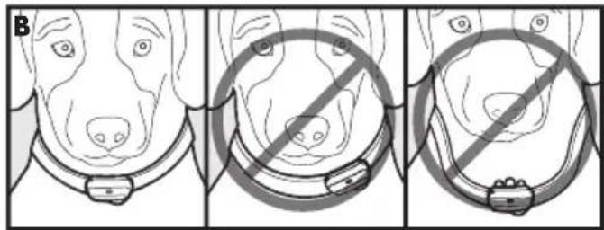 PETSAFE Deluxe Bark Control PBC1912443 - De deluxe antiblafhalsband aanpassen - 2