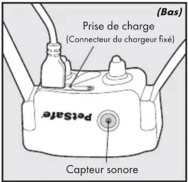 PETSAFE Bark Control PBC1713465 - Définitions - 2