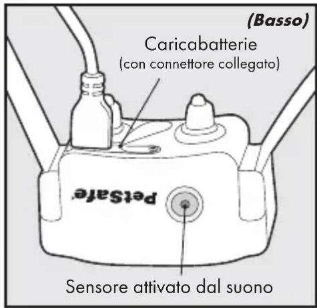 PETSAFE Bark Control PBC1713465 - Defi nizioni chiave - 2