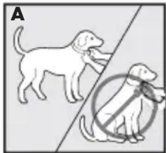 PETSAFE Bark Control PBC1713465 - De antiblafhalsband passend maken - 1