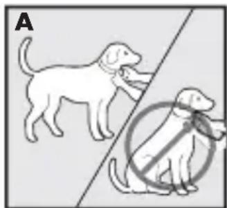 PETSAFE Bark Control PBC1713465 - Anlegen des Antibellhalsbands - 1