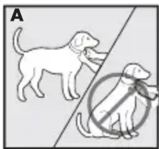 PETSAFE Bark Control PBC1713465 - Regolazione del collare antiabbaio sul cane - 1