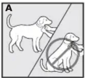 PETSAFE Bark Control PBC1713465 - Fit the Bark Control Collar - 1