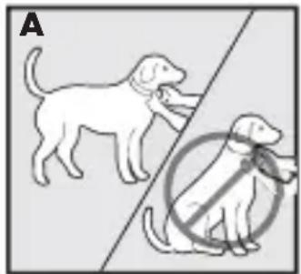 PETSAFE Bark Control PBC1713465 - Ajuste del collar antiladridos - 1