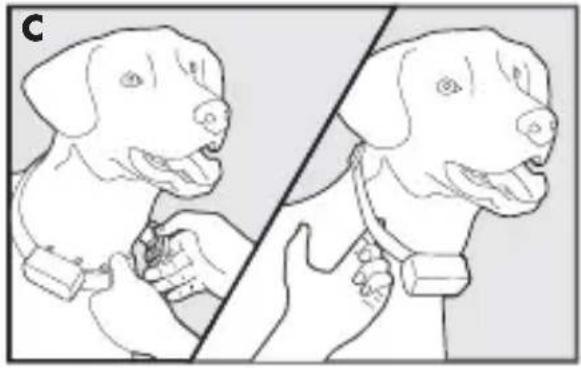 PETSAFE Bark Control PBC1713465 - Ajustement du collier anti-aboiements - 2
