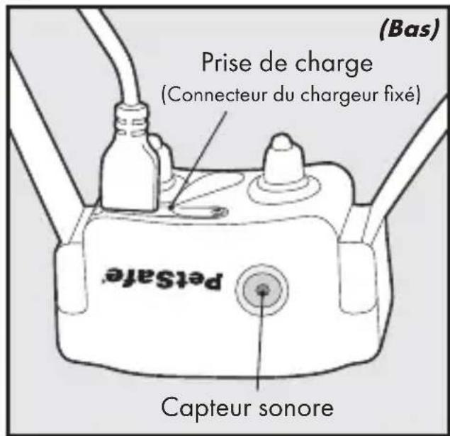 PETSAFE Bark Control PBC1713466 - Définitions - 2