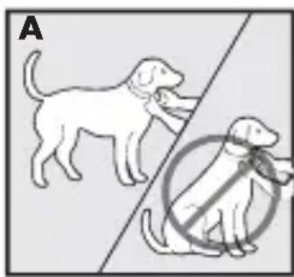 PETSAFE Bark Control PBC1713466 - Fit the Bark Control Collar - 1