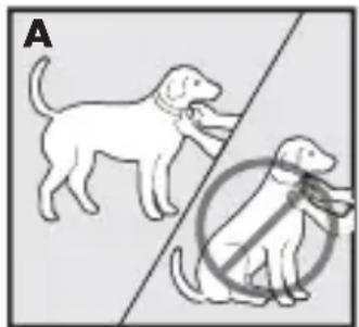 PETSAFE Bark Control PBC1713466 - Ajustement du collier anti-aboiements - 1