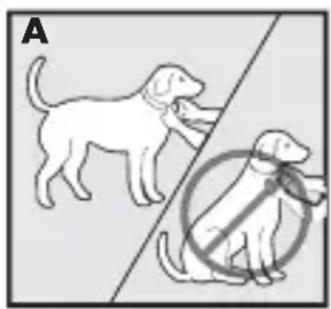 PETSAFE Bark Control PBC1713466 - Regolazione del collare antiabbaio sul cane - 1