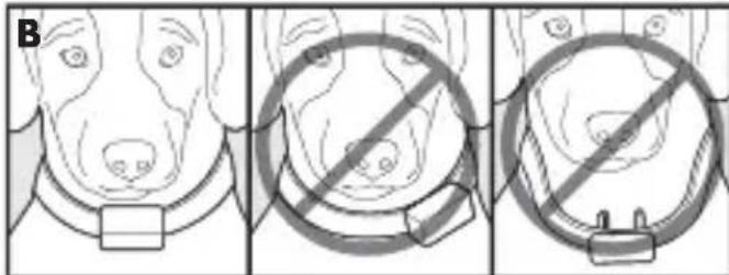PETSAFE Bark Control PBC1713466 - Fit the Bark Control Collar - 2