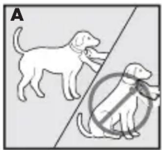 PETSAFE Bark Control PBC1713466 - Ajuste del collar antiladridos - 1