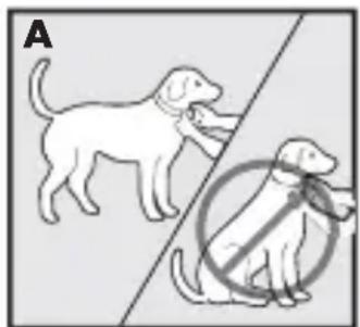PETSAFE Bark Control PBC1713466 - Anlagen des Antibellhalsbands - 1