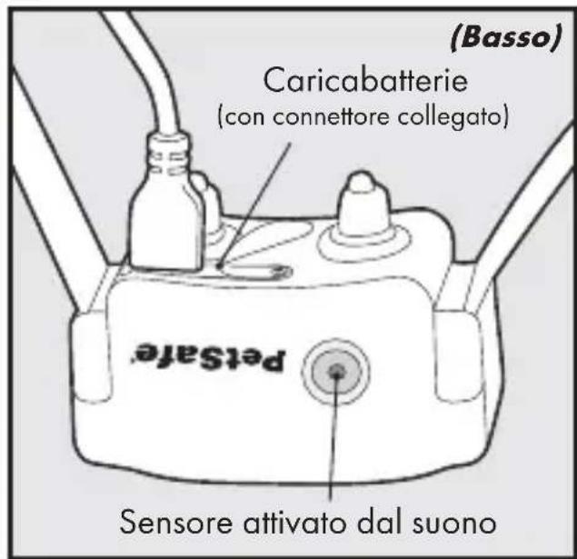 PETSAFE Bark Control PBC1713466 - Definzioni chiave - 2