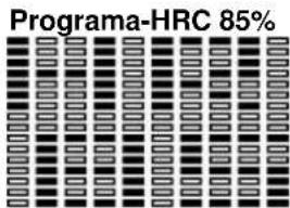 BH FITNESS G865N - MONITOR ELECTRÓNICO CONEXIÓN A LA RED. - 2