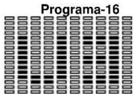BH FITNESS G865N - Programação do HEART RATE (ritmo cardíaco). - 14