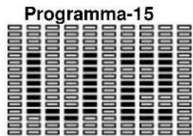 BH FITNESS G865N - GEBRUIKERS PROGRAMMA'S P14-P17.- - 2