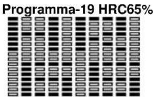 BH FITNESS G865N - TIPI DI CORPO / BODY TIPE: - 1