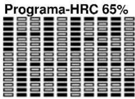 BH FITNESS G865N - PROGRAMAS DEL CONTROL DEL RITMO CARDIACO P18 - P22.- - 2
