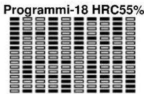 BH FITNESS G865N - Programmazione del HEART RATE (ritmo cardiaco). - 17