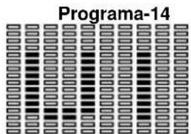 BH FITNESS G865N - Programação do HEART RATE (ritmo cardíaco). - 12