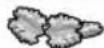 UFESA BP4562 - 42