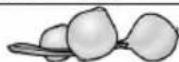 UFESA BP4562 - 30