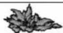 UFESA BP4562 - 39