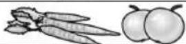 UFESA BP4562 - 33