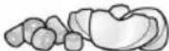 UFESA BP4562 - 41