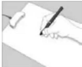 Zipy Fun Executive - Escribir correctamente - 1