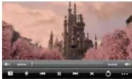 Zipy Fun Executive - VideoPlayback Settings - 1