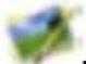 Zipy Fun Friends - Visualisation de photographies - 1
