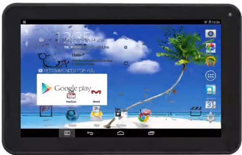 Proscan PLT9606G - Manuel de l'utilisateur - 1