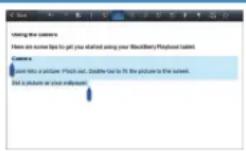 BLACKBERRY Mini Keyboard v1.0 - Copie-colle - 1