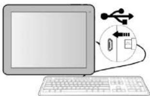 CURTIS Klü LT1041 - Management des fichiers d'application - 2
