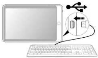 CURTIS Klü LT7052 - Connexion à un PC: - 2