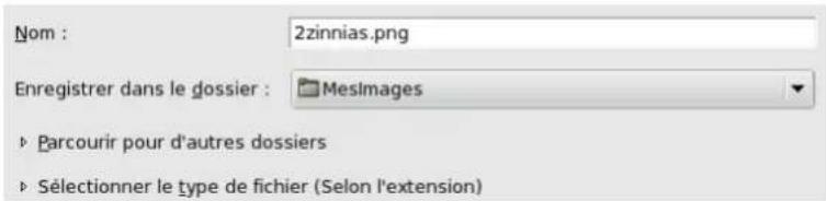 Gimp 2.4 - 14.5.8.2Ledialogue"Enregistrressousdebase - 1