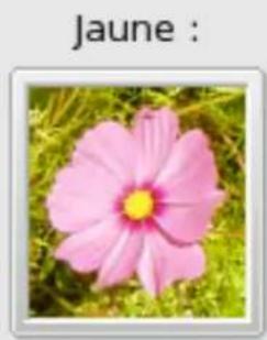 Gimp 2.4 - FenétresVouspouvezzchoisirentre: - 2