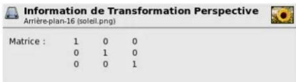 Gimp 2.4 - 12.4.7.3LaFenéted'Informationpourlatransformationdeperspective - 1